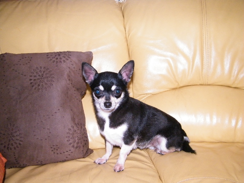 Fédora De Quentin De La Tour